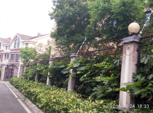 清溪玫瑰园案例