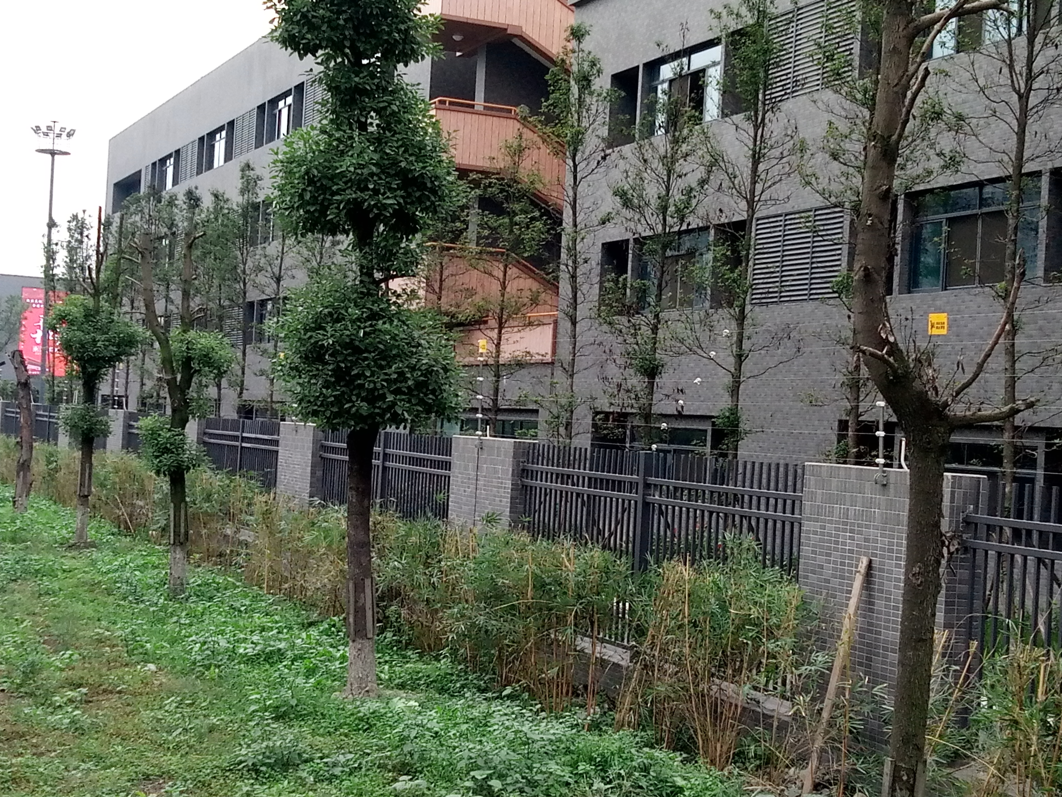 成都实验外国语学校温江校区案例